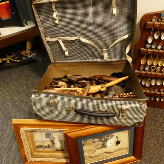 VINTAGE SUITCASE/ASST ANIMALS/MAORI PICTURES