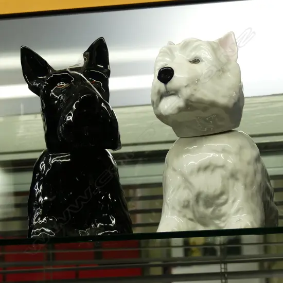 2 ROYAL ADDERLEY DOGS