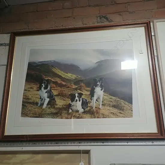 STEVEN TOWNSEND LTD ED. PRINT