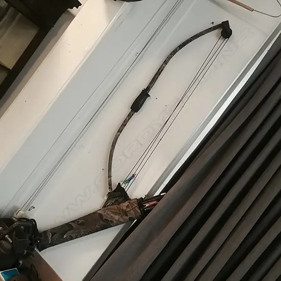 COMPOUND BOW W/ QUIVER & ARROWS