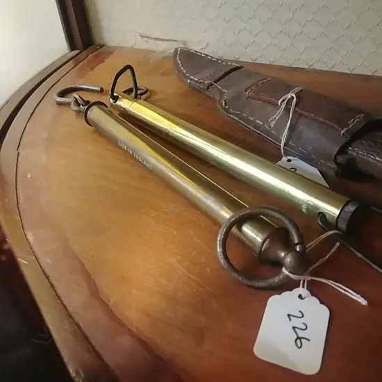 2 SALTER FISH SCALES