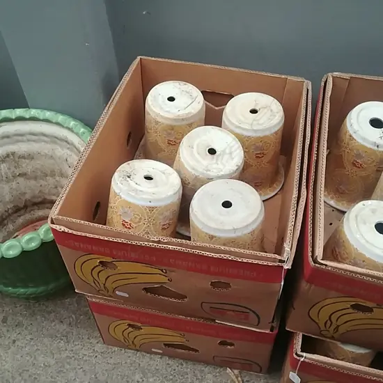 2 BOXES OF SMALL YELLOW PLANT POTS 