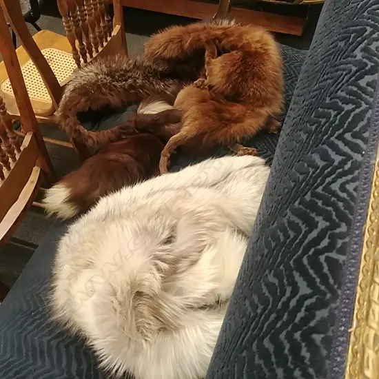 2 VINTAGE FUR COLLARS 1A.F