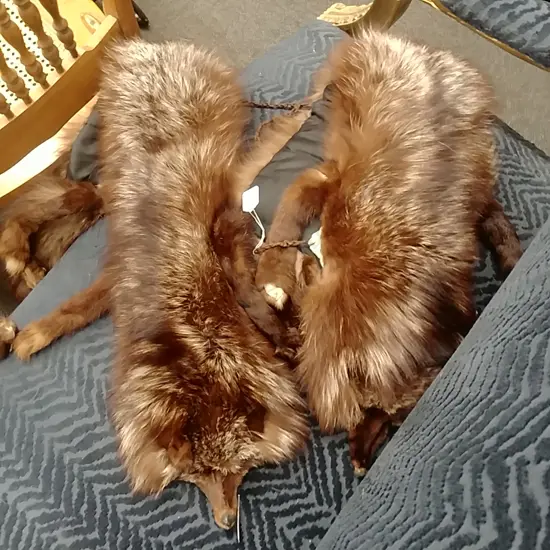 SILVER FOX FUR COLLAR