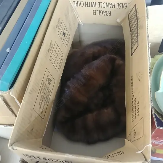 BOX OF FUR HATS 