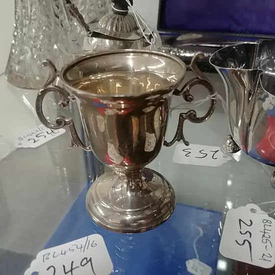 STG SILVER CUP