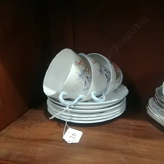 3 SHELLEY WILD FLOWERS TRIOS