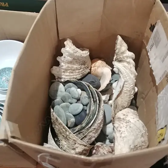 BOX OF SHELLS