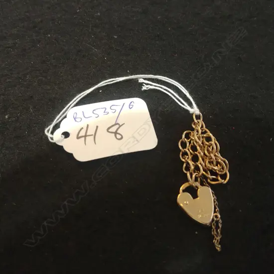 9CT GOLD LOCKET ON CHAIN 4g
