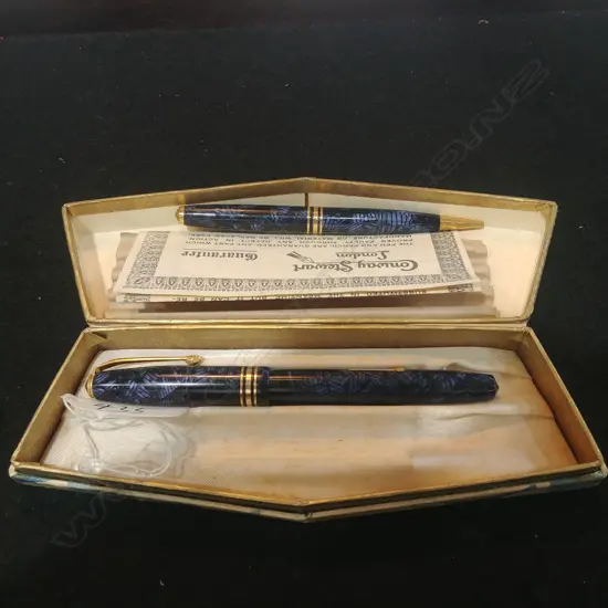 TWO CASED PENS 