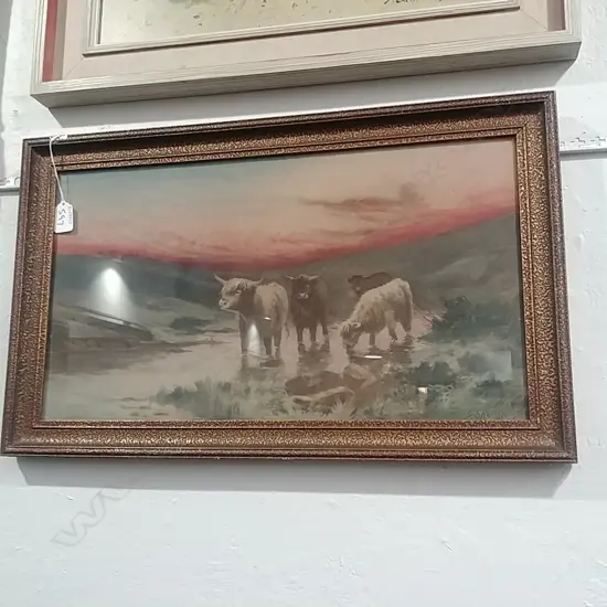 PICTURE D SHARRIN HIGHLAND CATTLE