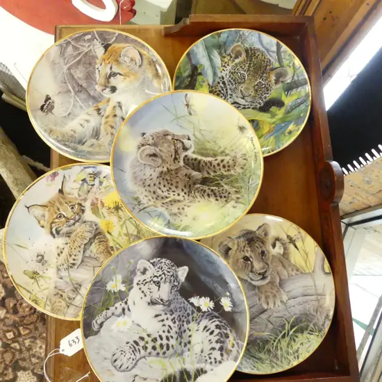 6 F/MINT LARGE CAT PLATES