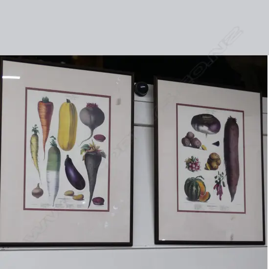 2 FRAMED PRINTS OF VEGETABLES