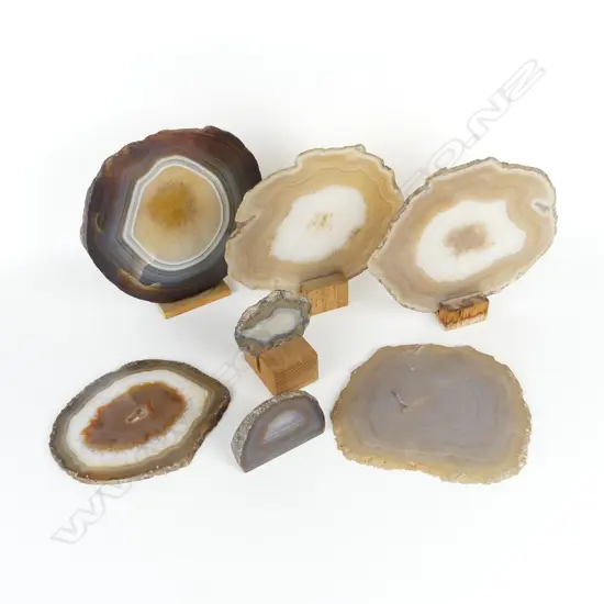 SIX SLICED ROCK SPECIMENS