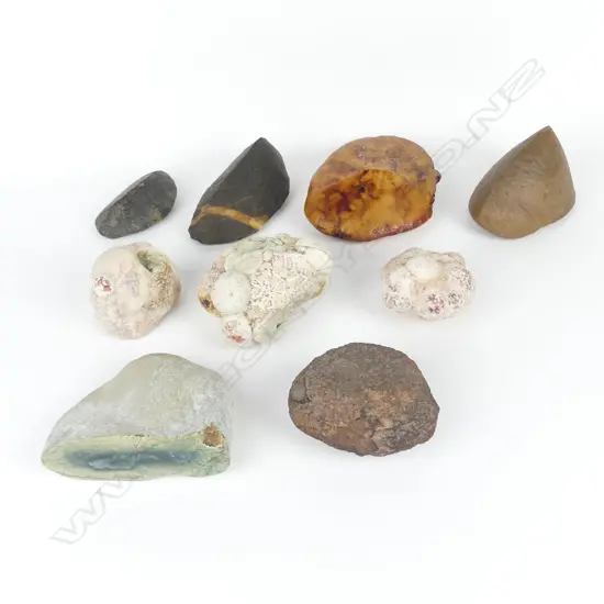 4 VENTIFACTS & 5 ROCK SPECIMENS