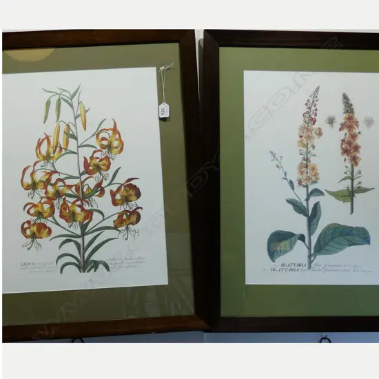2 BOTANICAL PRINTS
