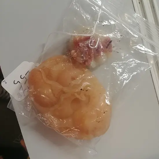 2 SMALL SOAPSTONE CARVINGS 