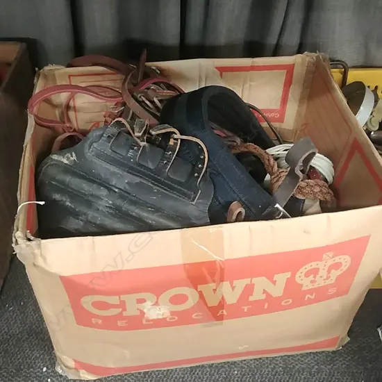 BOX LOT BRIDLES & HORSE GEAR