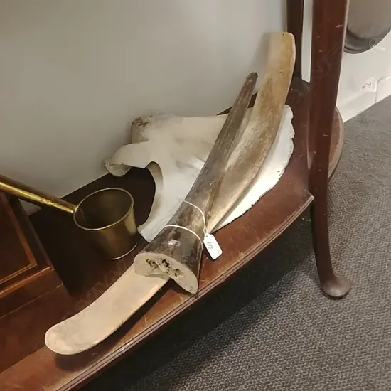 MARLIN SPIKE & 2 OLD BONES