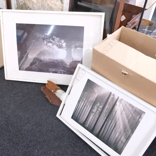 2 LTD EDITION LANDSCAPE PRINTS LARGEST 730X1020MM