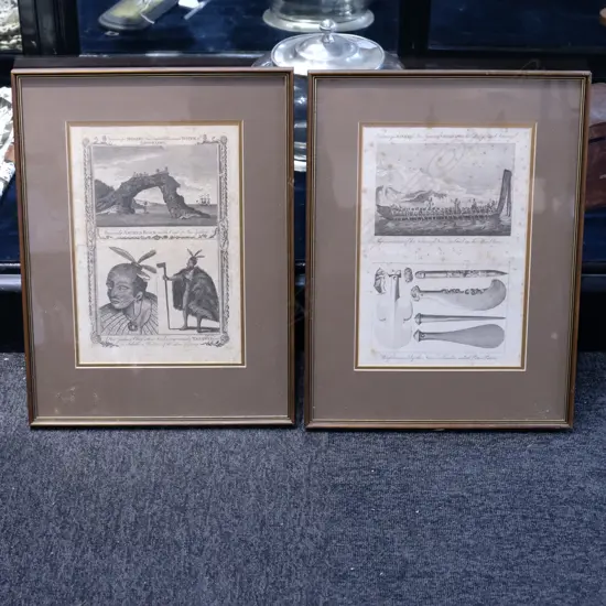 AFTER SYDNEY PARKINSON ENGRAVINGS EACH FRAME H. 470MM W. 350MM 
