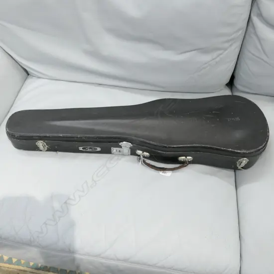 VIOLIN IN BLACK CASE