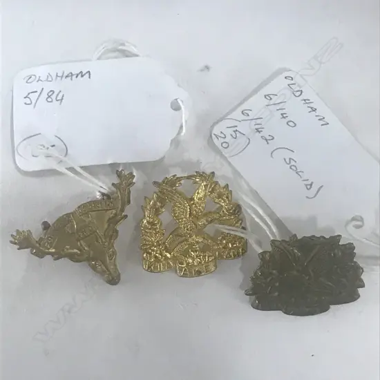 12th (OTAGO) MOUNTED RIFLES REGT [FIRST PATTERN], 14th (SOUTH OTAGO RIFLES) REGT [2 VERSIONS] BADGES(3)