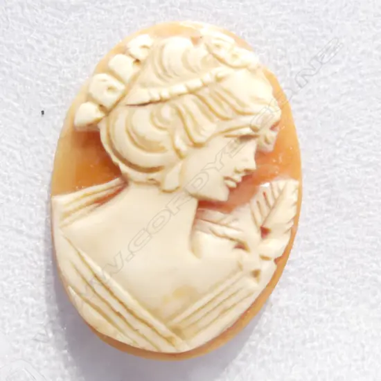 PORTRAIT CARVED CAMEO SHELL 30 x 27mm