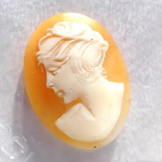 PORTRAIT CARVED CAMEO SHELL 25 x 18mm