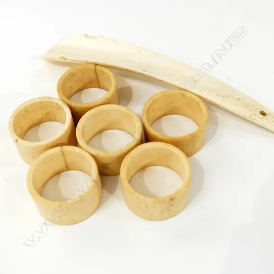 6 BONE SURVETTE RINGS/HORSE SHOE