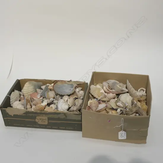 BOX LOT OF SHELLS PART TWO