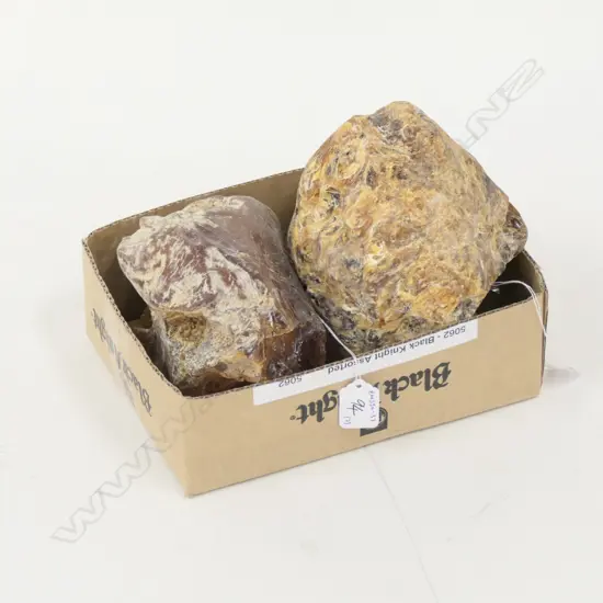 2 KAURI GUM BOULDERS