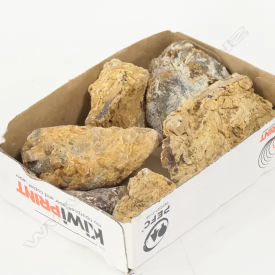 6 KAURI GUM BOULDERS