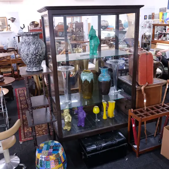 TALL RECTANGULAR DISPLAY CABINET EARLY 20THC 