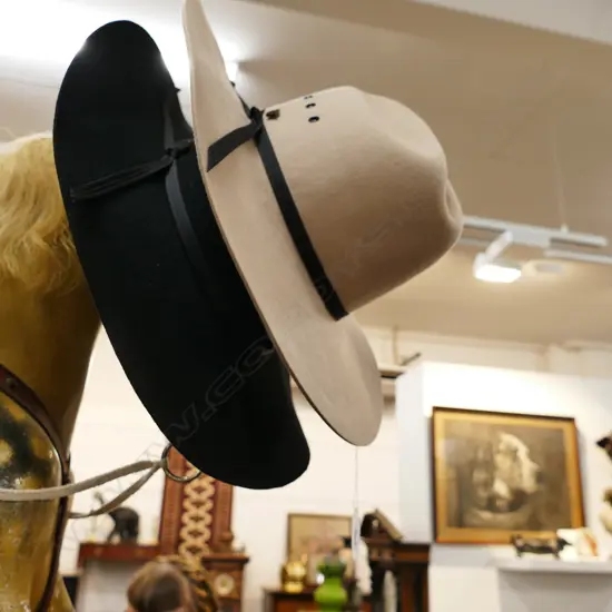 TWO PURE WESTON GENTS HATS