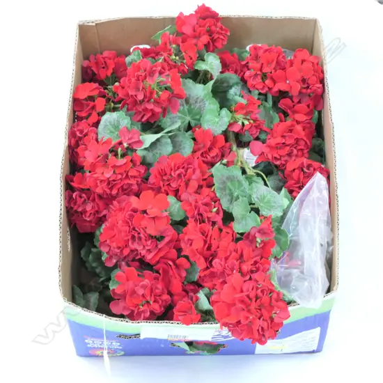 LOT ASST ARTIFICIAL FLOWERS