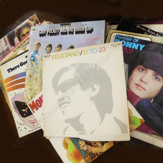 TWO CARRYBAGS OF LPS; INCL PAUL SIMON, DONNY OSMOND, MOUTH N MCNEIL ETC