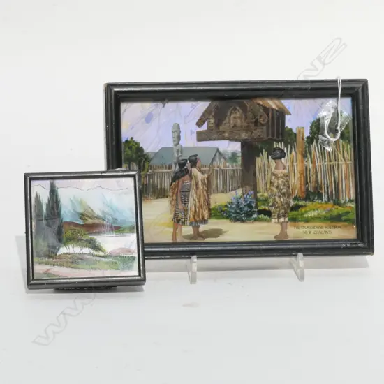 2 BUTTERFLY WING PICTURES - NZ SOUVENIR IMAGES