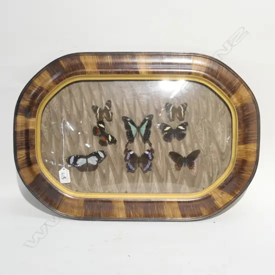 CONVEX MIRROR WITH BUTTERFLYS L. 560