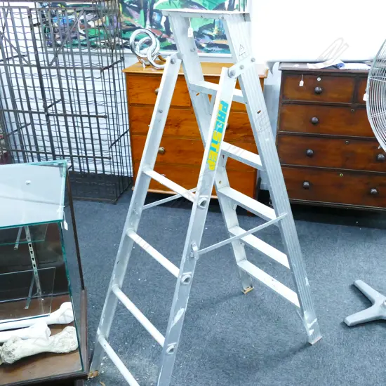 6 STEP ALUMINIUM LADDER
