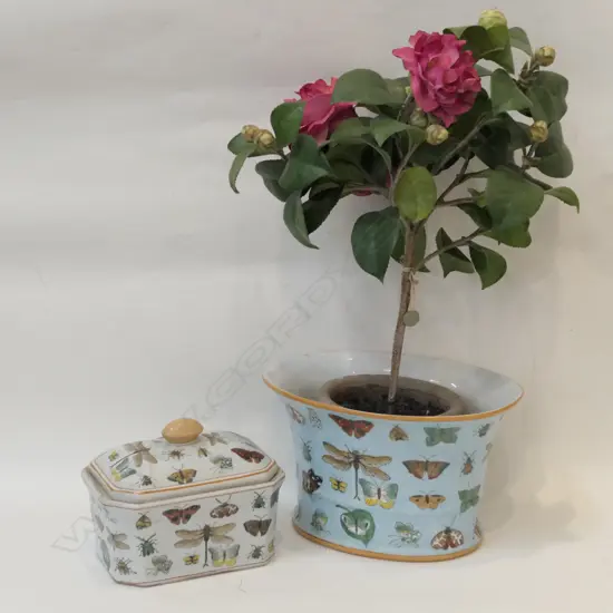 2 CHINESE POLYCHROME INSECT DECORATED PCES; JARDINERE AND BOX