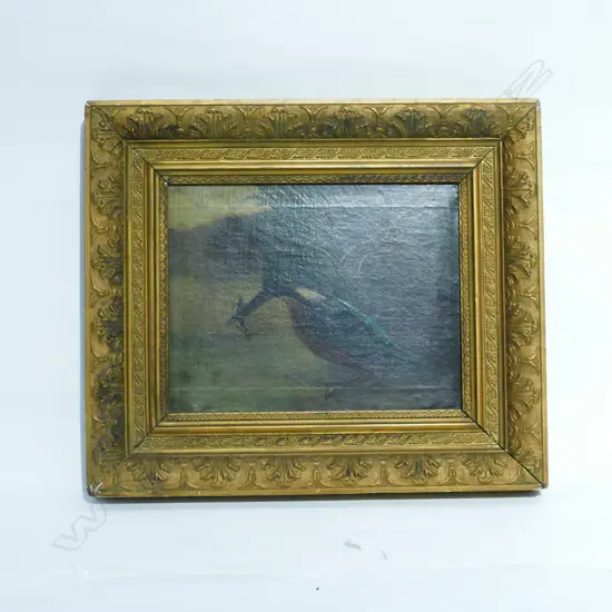 A/U ANTIQUE OIL KINGFISHER 180 X 240