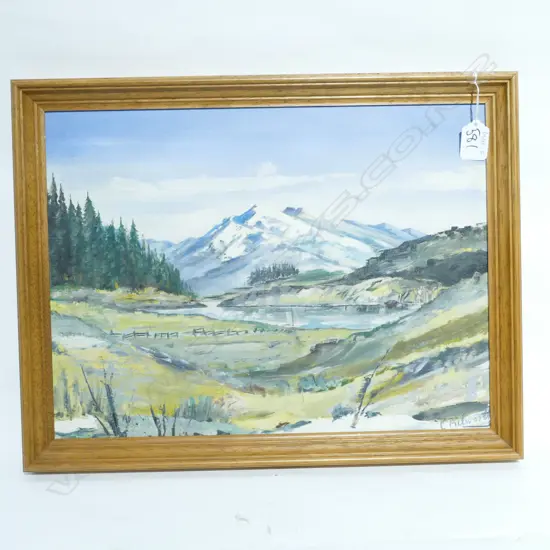 CHARLES PICKWORTH, OIL ON BOARD, MOUNTAIN LANDSCAPE. 290 X 390mm