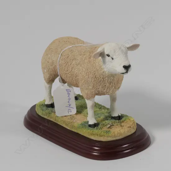BORDER FINE ARTS TEXEL RAM--BOXED
