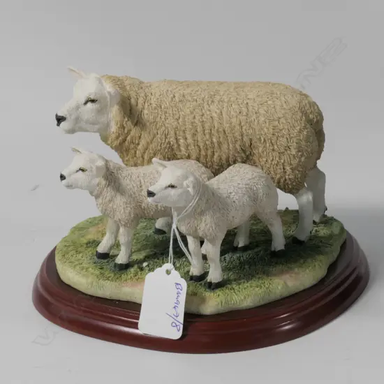 BORDER FINE ARTS TEXEL EWE & LAMBS--BOXED