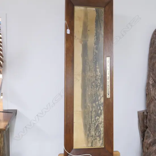 PANORAMIC PHOTO 'WGTN NZ 1886 FROM MT. VICTORIA'