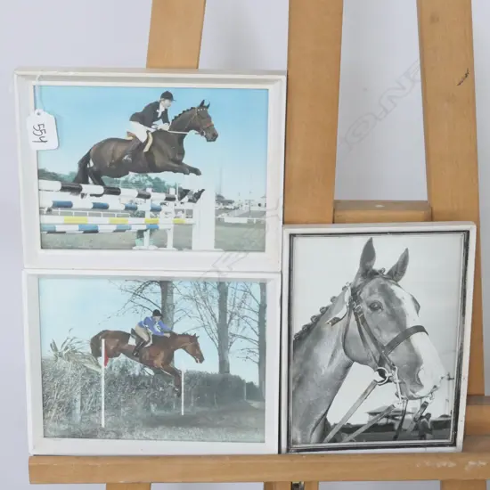 TWO COLOURED PRINTS AND B/W HORSE PHOTO
