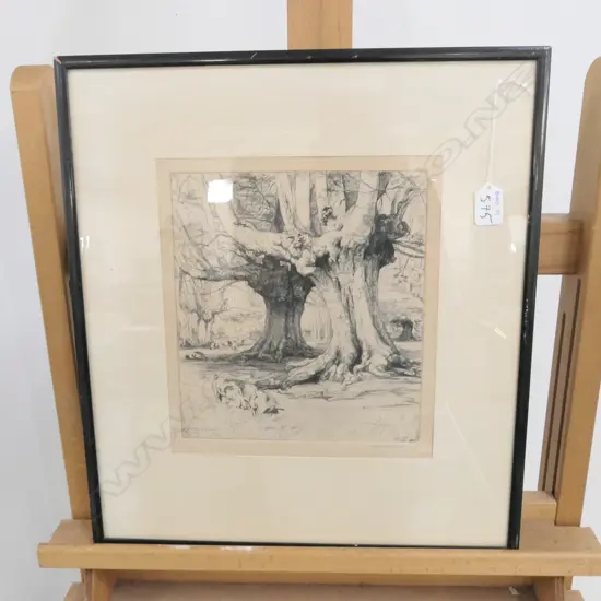 DOROTHY WOOLLARD 1915 ETCHING - OLD TREES & PIGS