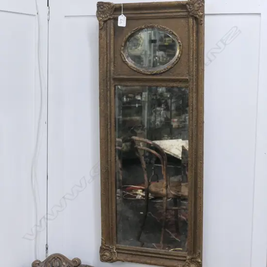 TRUMEAU TYPE MIRROR 350 x 860mm