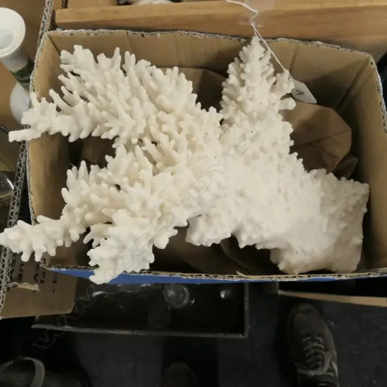 LARGE WHITE CORAL BRANCH